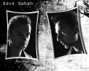 DMfan_Depeche_Mode_Dave_Gahan_by_UnapologeticApathy_wallpaper.jpg