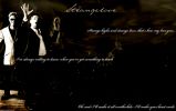 DMfan_Depeche_Mode_Strangelove_by_rachwillows_wallpaper.jpg